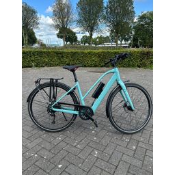 Trek FX plus Mixed Mint Groen 50cm 2023 (F.16436)