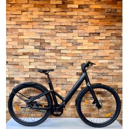 Reany W1, Black Matt (RB1202F)