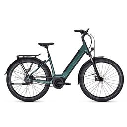 KALKHOFF IMAGE 3 EXCITE BLX Dames Techgreen Glossy Glans 43cm 2024 (4000990454384)