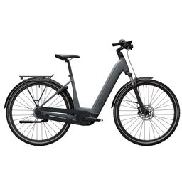 Advanced Ebike TOUR Pro Wave 45 / Stone Grey Perf. 75 / 625 / Kio Dames Stone Grey 45cm 2026 (F.75382)