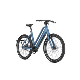 GAZELLE Cayo C1 DAMES Legion Blue Mat 50cm 2025 (8717231369494)
