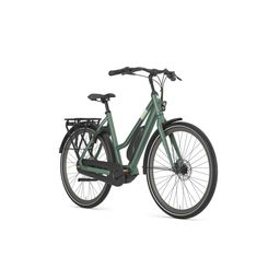 GAZELLE Esprit C7 DAMES Moss Green Mat 54cm 2025 (8717231002025)