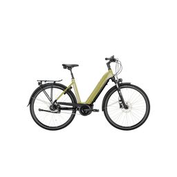 VICTORIA eTrekking 11.5, Green Grey (4251507986472)