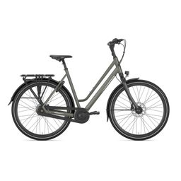 GAZELLE Chamonix C8, Clay Green Mat (8717231361313)