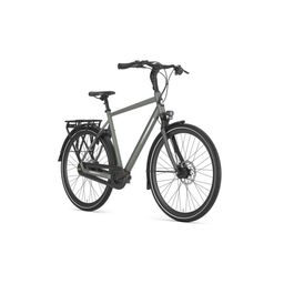 GAZELLE Chamonix C8 Heren Clay Green Mat 57cm 2024 (8717231361351)