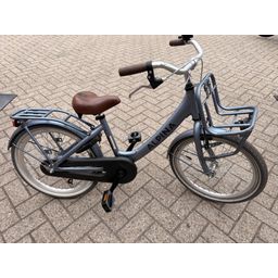 ALPINA Fiets Alpina Clubb M20 Meisjes Grijs 31cm 2023 (8719461049948)