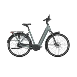 GAZELLE Grenoble C310 DAMES Dew Green Mat 49cm 2027 (8717231373620)