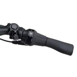BATAVUS Altura PT Dames Smokingblack Matt 51cm (8713568557627)