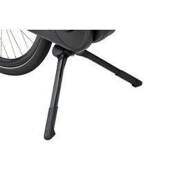 BATAVUS Quip E-go Plus Lageinstap Zwart Mat 55cm 2023 (8713568460293)
