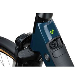 SPARTA d-Rule Energy Dames Teal Green 57cm 2024 (8713568498890)