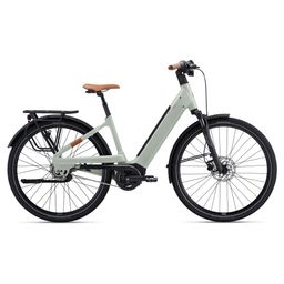 Liv Allure E+ 2 25km/h M Desert Sage (4712878737396)
