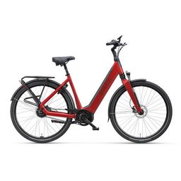 SPARTA A-Shine Fit, DARK RED GLOSS (8713568495394)