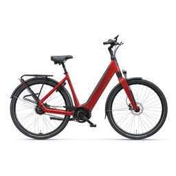 SPARTA A-Shine Fit, DARK RED GLOSS (8713568495394)