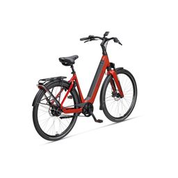 SPARTA A-Shine Fit, DARK RED GLOSS (8713568495394)