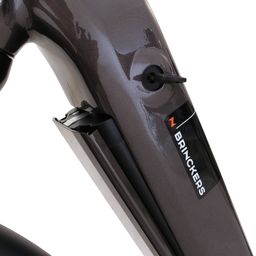 Brinckers Brisbane EVO 720Wh D46 Dames Grey 46cm 2024 (8720143980589)