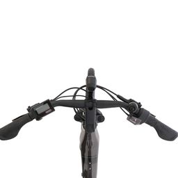 Brinckers Brisbane EVO 720Wh D46 Dames Grey 46cm 2024 (8720143980589)