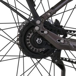 Brinckers Brisbane EVO 720Wh D46 Dames Grey 46cm 2024 (8720143980589)
