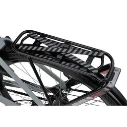 SPARTA d-Rule Energy Dames TYREGREY MATTE 57cm 2025 (8713568553773)