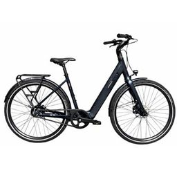 Brinckers Blaze Dames Grey 50cm 2026 (8720143980909)