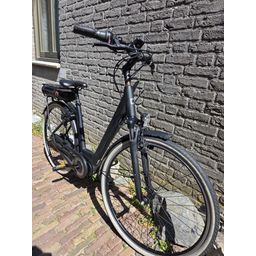 Qwic Premium MN7 HS11 maat M Dames Matte Black 49cm 49 (M) 2019 (8718792028264)