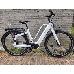 Brinckers Blazar Wit 50cm 2026 (8720143981142)