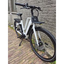 Brinckers Blazar Wit 50cm 2026 (8720143981142)
