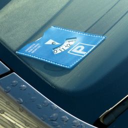 CARPOINT PARKEERSCHIJF (8711293010516)