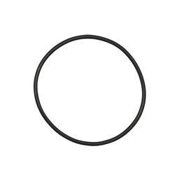 Ebp kettd o-ring Bosch kettingblad active/perf zw (4047025242929)