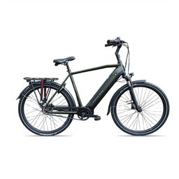 AVALON E-Pro Premium Mosgroen H58cm. Heren Mosgroen 58cm 2026 (8720574373516)