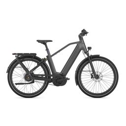GAZELLE Eclipse C380 HMB, anthracite grey mat (8717231362433)