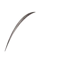 Continental Bub 28x1 co 25-622 grand prix 4000 zw vw (4019238311075)