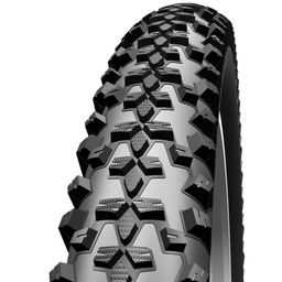 Schwalbe Bub 29x210 sc 54-622 smart sam plus ss zw (4026495713382)