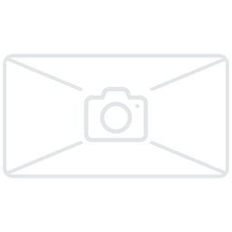 Continental Bub 17-225 co 21x225 kks10 zw (4019238104981)