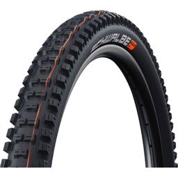 Schwalbe Bub 29x240 sc 62-622 big betty tle aso st zw vw (4026495880596)