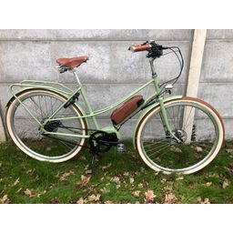 Achielle Odette Steps 500wh DI2 Belt, Pastel groen (F.5074)