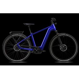 Flyer Gotour 7.23 Enzian Blue XL 2025