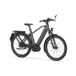 GAZELLE Eclipse Speed, Anthracite Grey Mat (8717231365120)