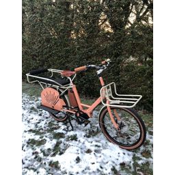 Achielle Jean Alfine 8 DI2 Longtail - 630wh - EP6, Zalmbeige / Creambeige (F.7368)