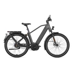 GAZELLE Eclipse Speed Heren Anthracite Grey Mat 50cm 2025 (8717231365120)