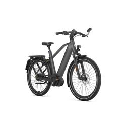 GAZELLE Eclipse Speed Heren Anthracite Grey Mat 55cm 2025 (8717231365137)