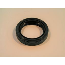 Gilera Voorvorkkeerring dna (598190)