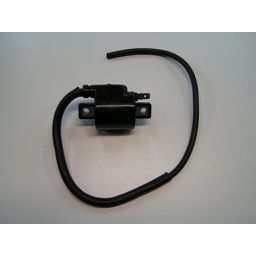 Bobine Minarelli scooter (8717688072831)