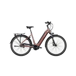 VICTORIA TRESALO 13 Dames Bornit Copper 52cm 52 cm 2023