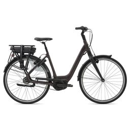 GIANT Grandtour E+0 LDS Dames Rosewood L 55cm L 2022 (4712878638600)