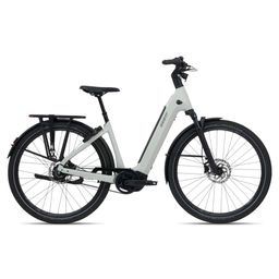 GIANT AnyTour E+3 LDS Dames Mountain Air XL 55cm XL 2026 (4711291270251)