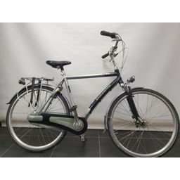 Gazelle Free Heren Blauw 57cm (F.38584)
