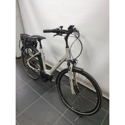Giant Entour E+0 Disc LDS Dames Concrete 50cm M (F.38202)
