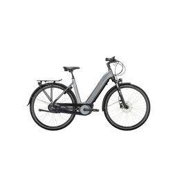 VICTORIA E-Trekking 11.4 H, Carbonite Grey Matt (4251507986380)