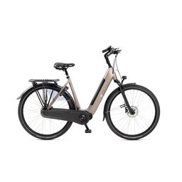 RIH Spectra Dames Mat champange 49cm 2026 (F.35126)