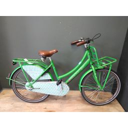 Cortina Lief 24inch Meisjes groen 38cm 2020 (F.35622)